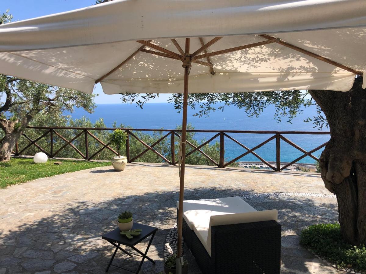 פינאלה ליגורה Villa Degli Ulivi B&B מראה חיצוני תמונה